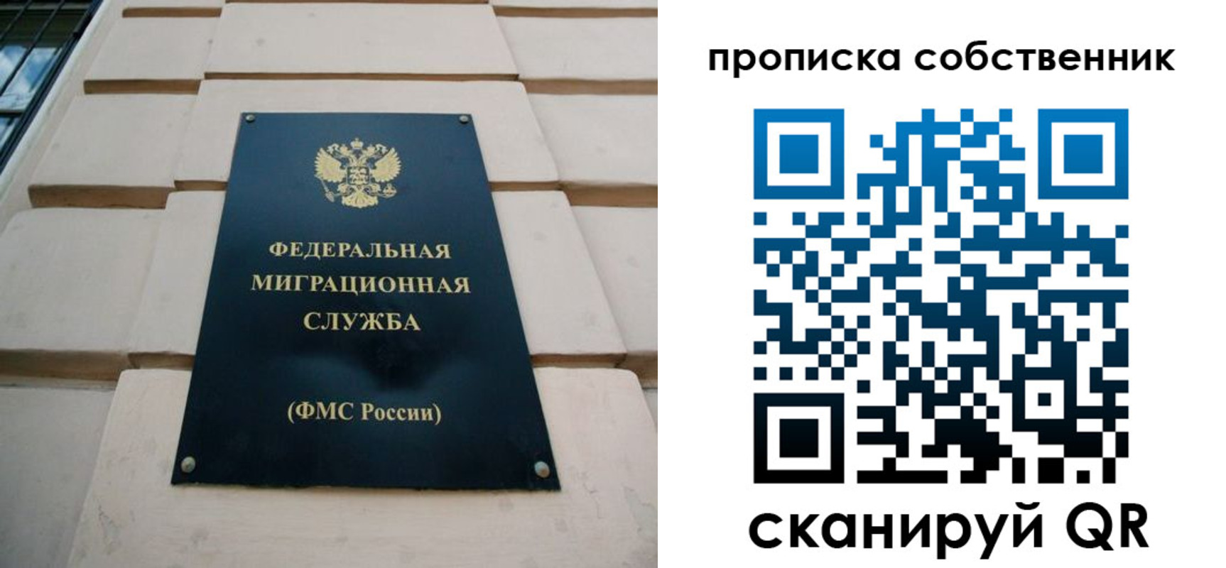 прописка законно в Пересвете